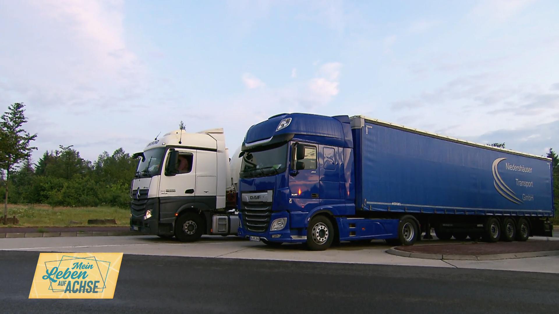Stella braucht dringend einen Parkplatz!