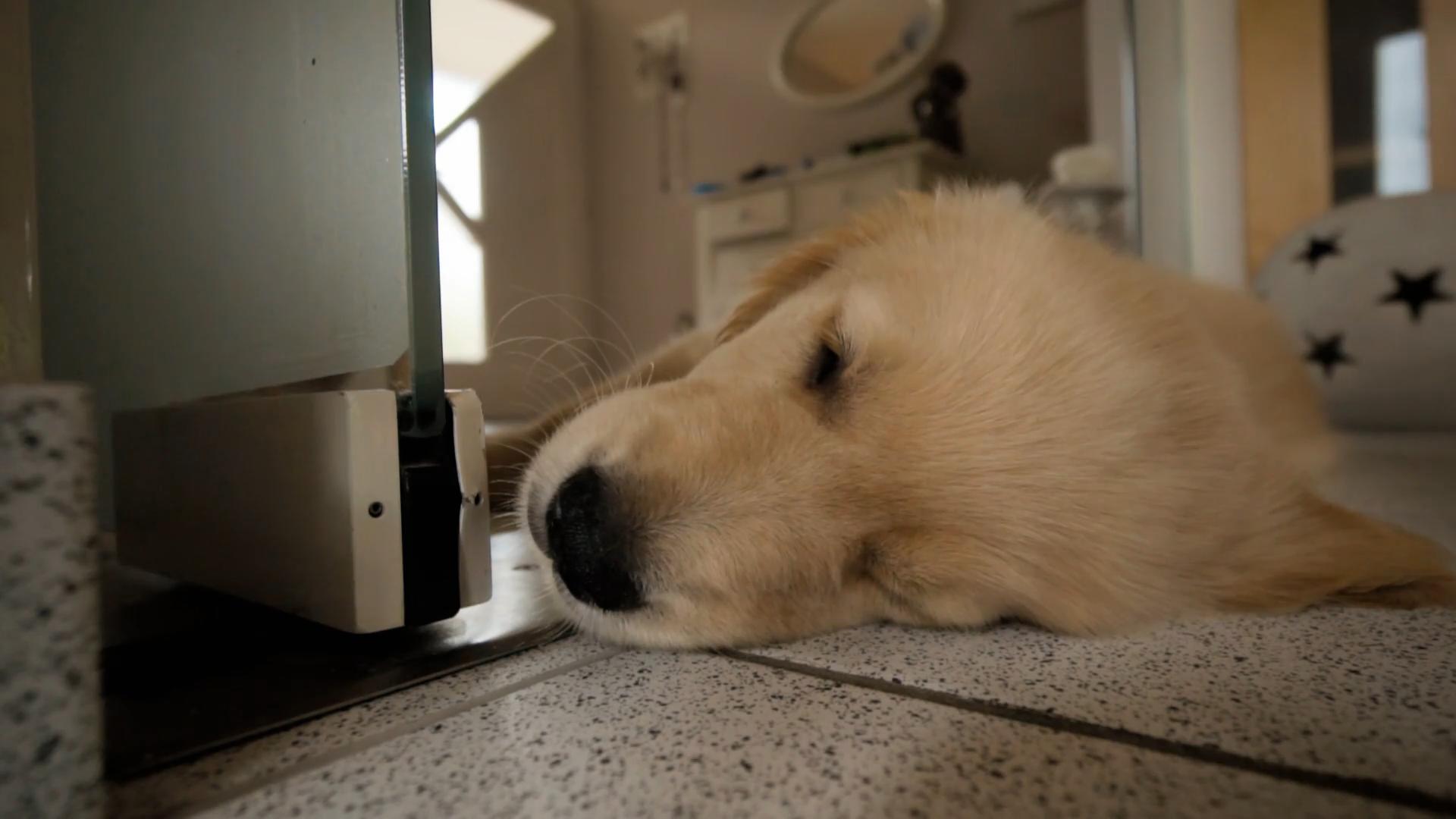 „Sam bereichert unser Leben"