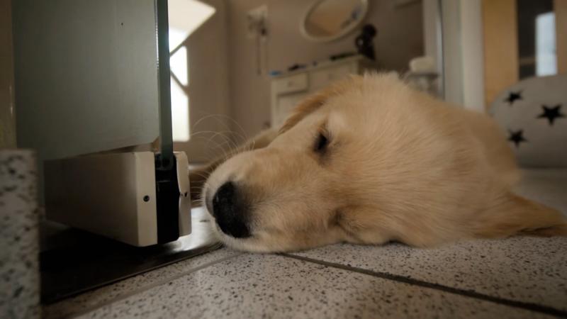 „Sam bereichert unser Leben"