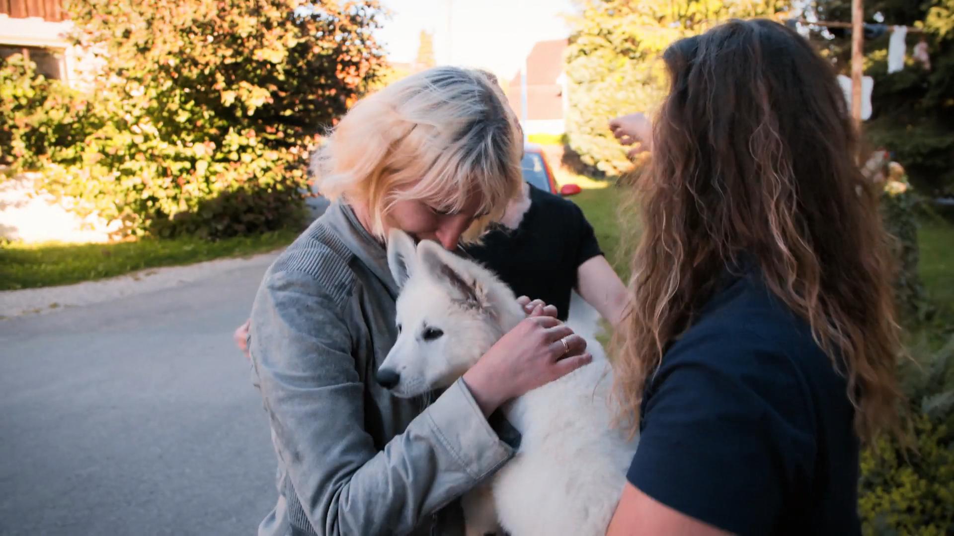 Familie Sitter will sich einen Hund anschaffen
