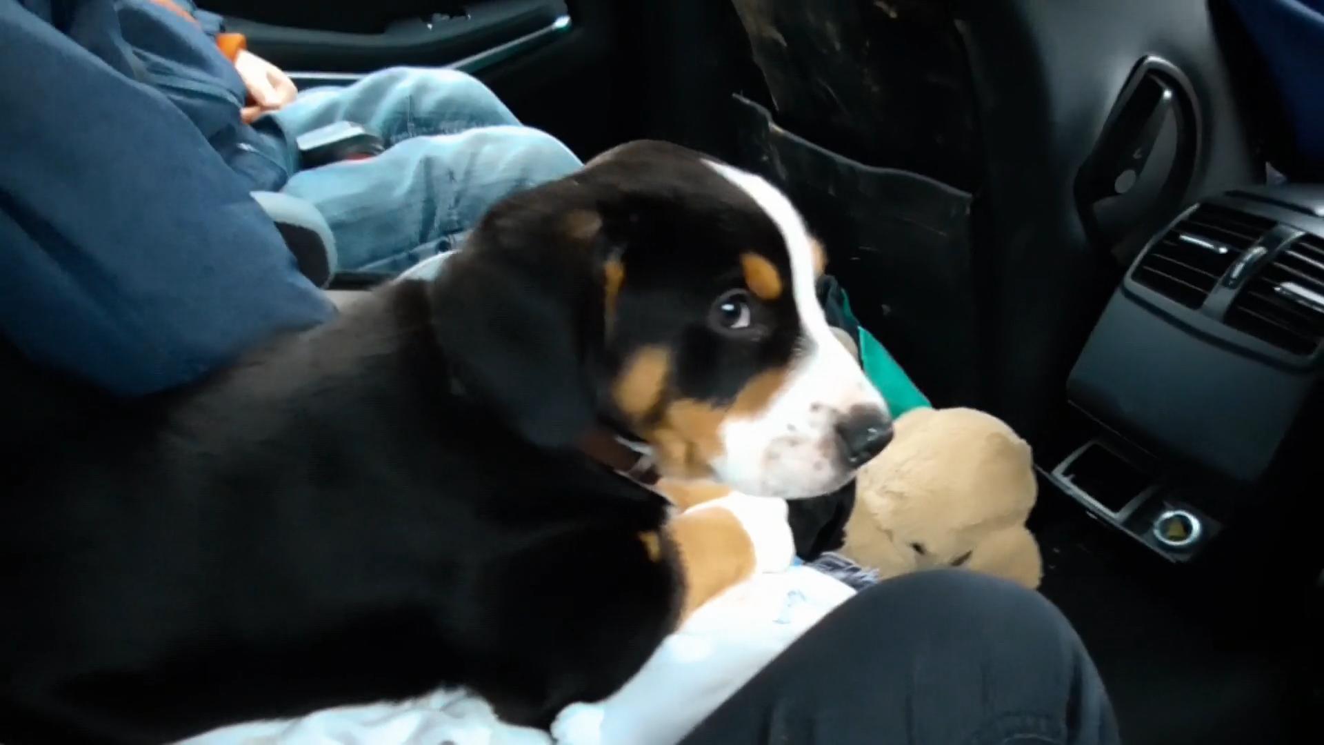 Die Weingärtners bekommen heute ihre Ebby