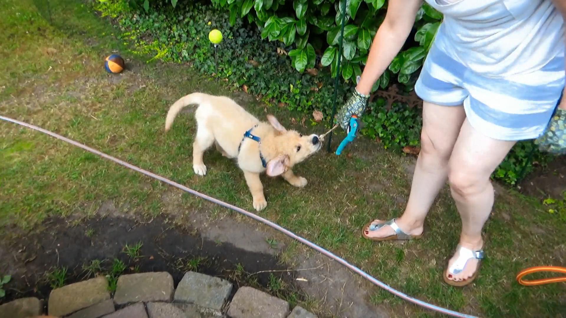 Sam ist schon seit zwei Wochen bei Familie Reul