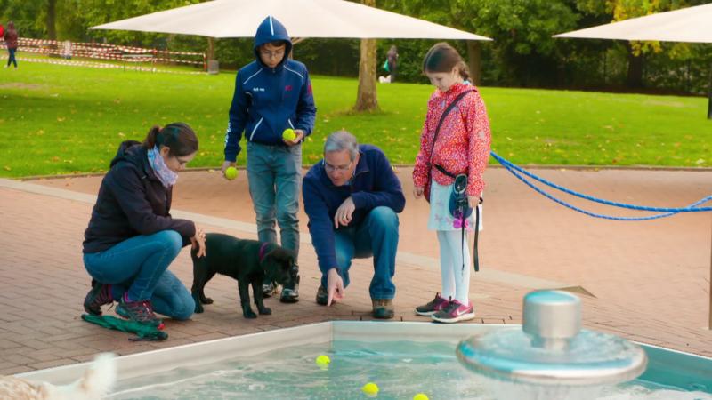 Cookie macht einen Ausflug ins Freibad!