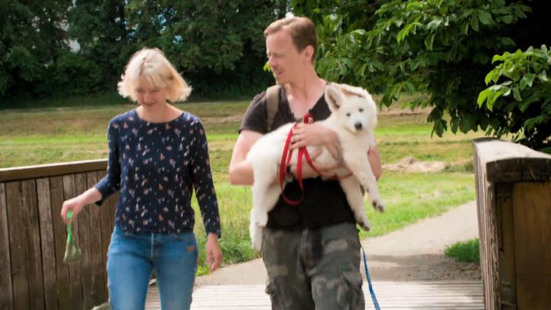 Ivy genießt einen Spaziergang im grünen