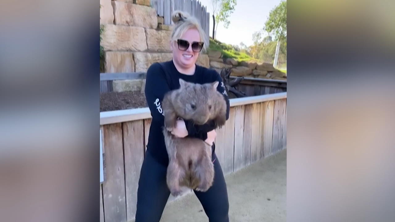 Rebel Wilson macht ihr Workout mit einem Wombat
