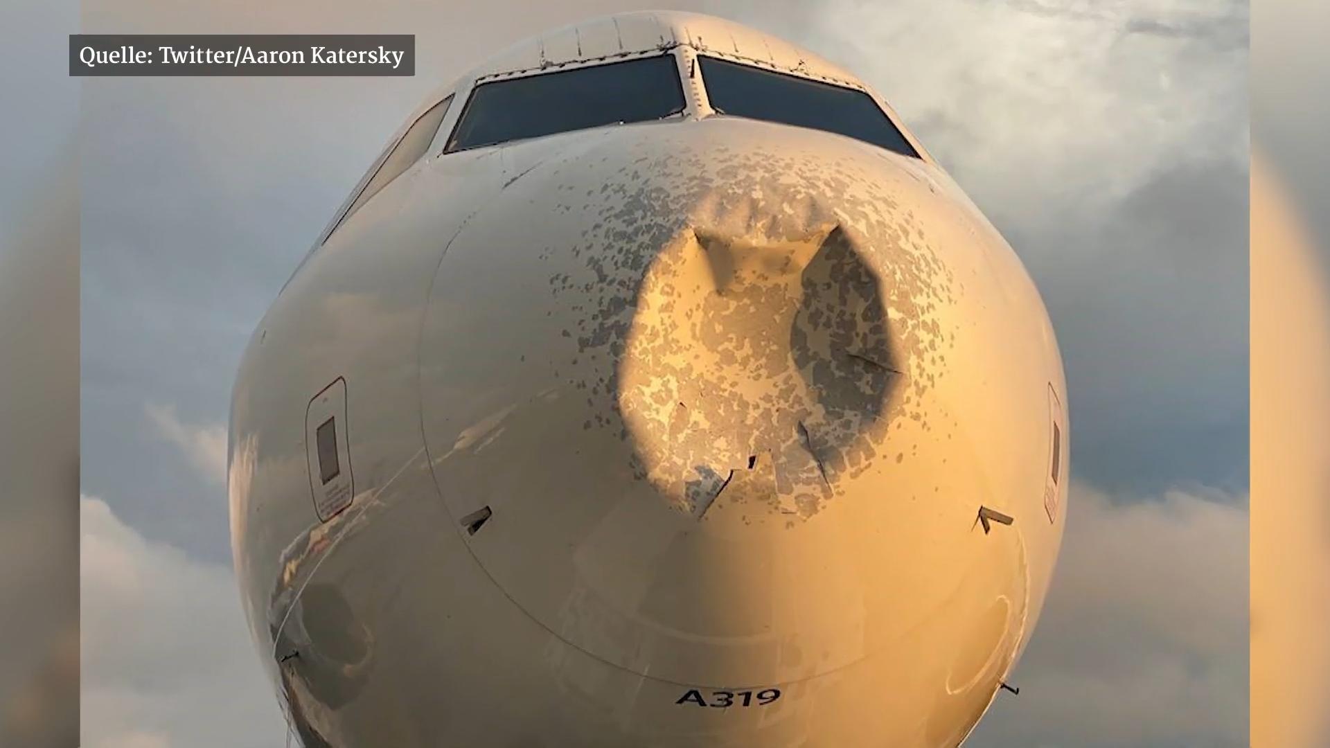Flugzeug muss nach Kollision mit Vogel notlanden