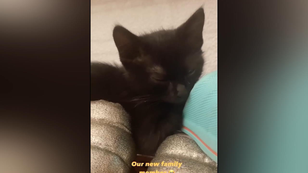 Bonnie Strange hat einen tierischen Sohn