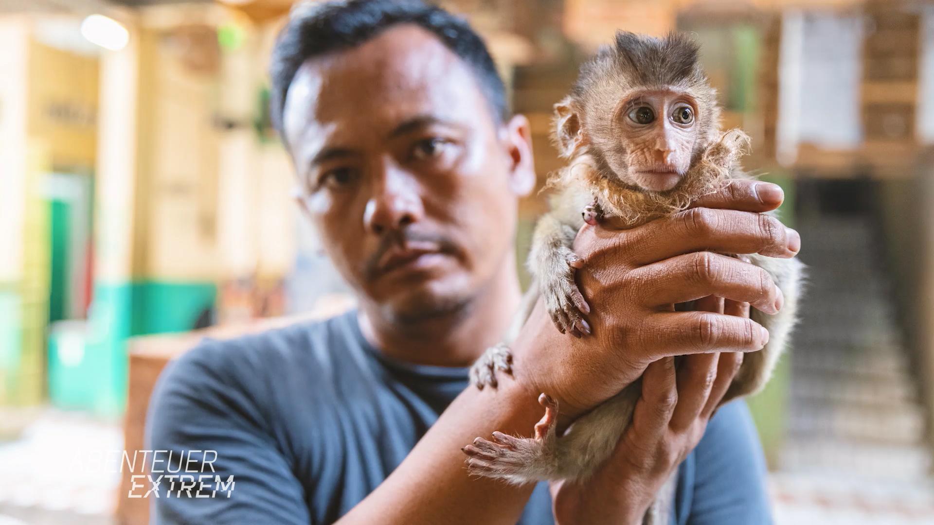 Illegaler Wildtiermarkt in Jakarta