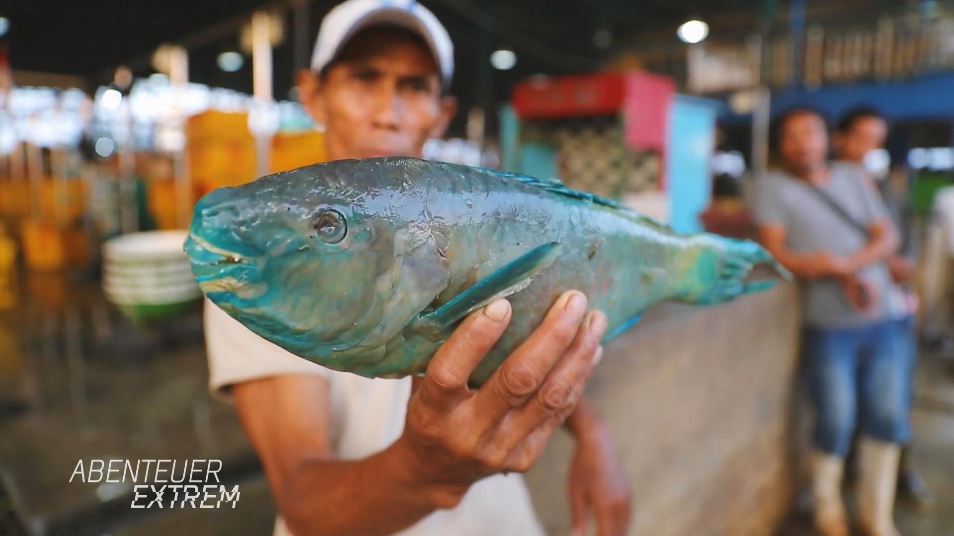 Verbotene Arten auf Jakartas Fischmarkt