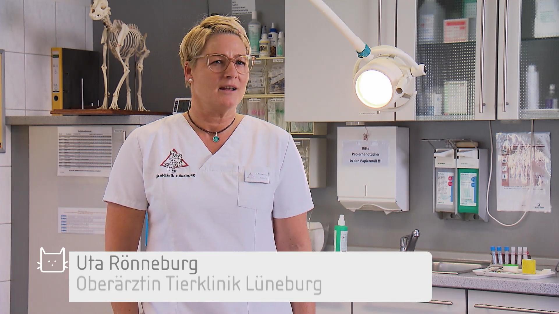 Darum ist eine Erstuntersuchung so wichtig