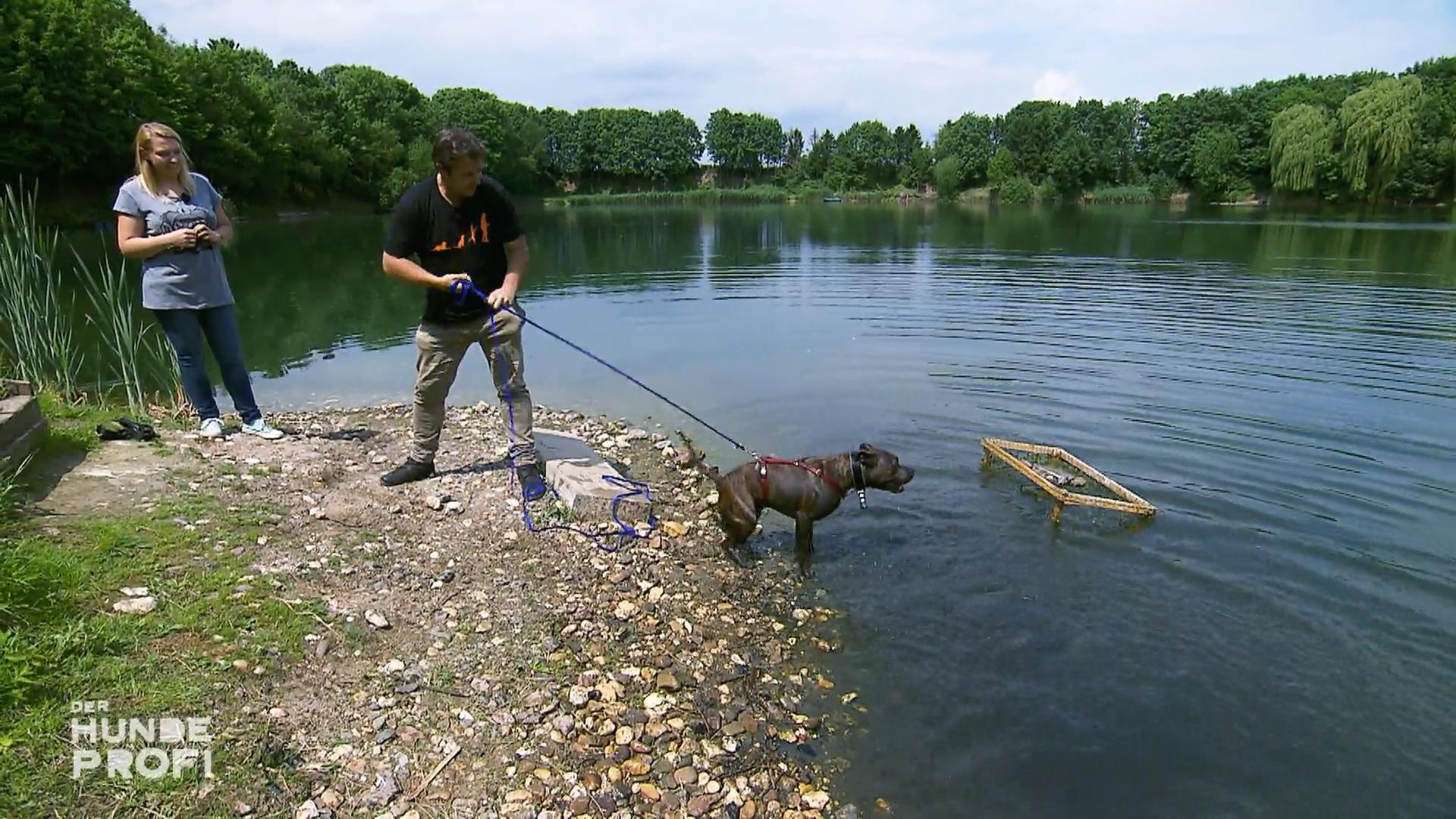 Martin Rütter trainiert mit Buddy am See