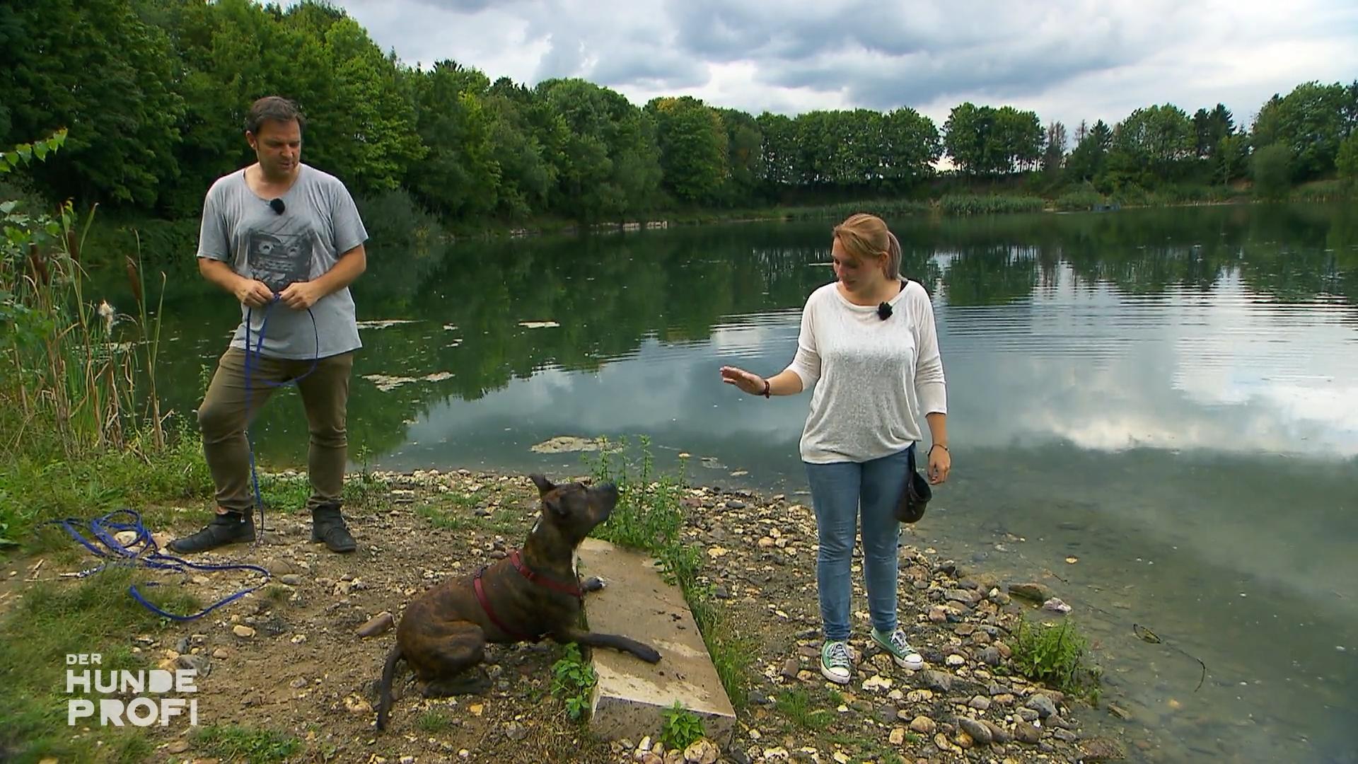 Denise & Buddy bekommen eine weitere Aufgabe