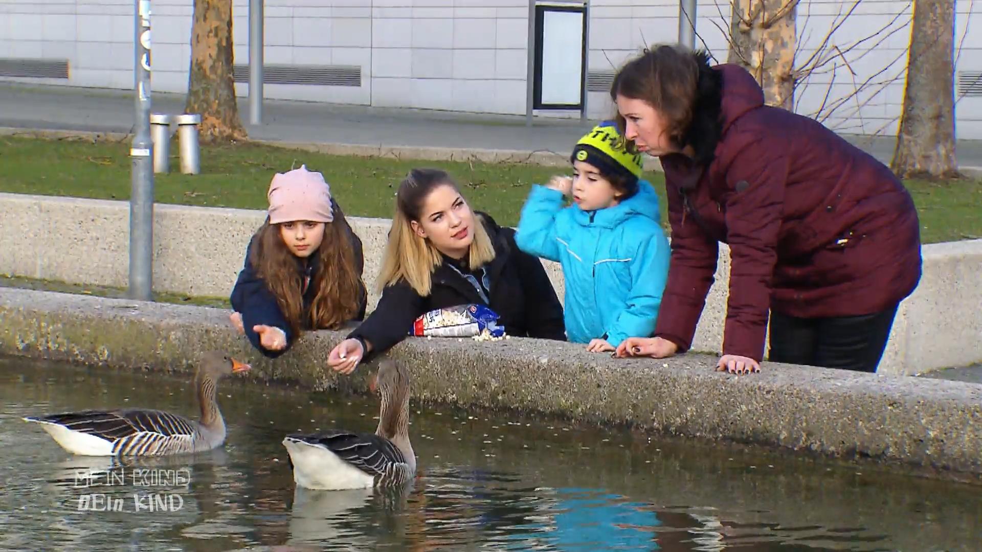 Elenas Sohn bewirft die Enten mit Brot