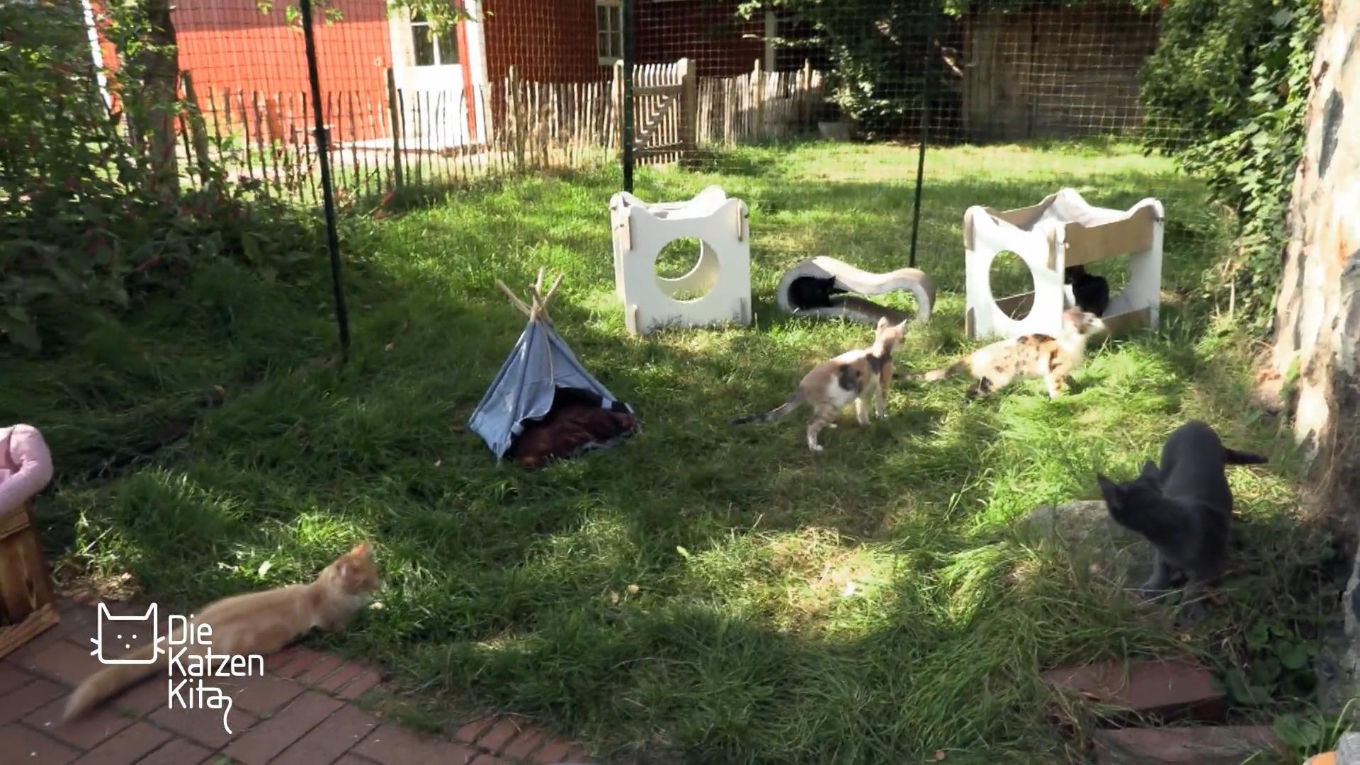 Spiel und Spaß im neuen Garten