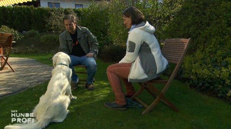 Das Training des Rüden beginnt