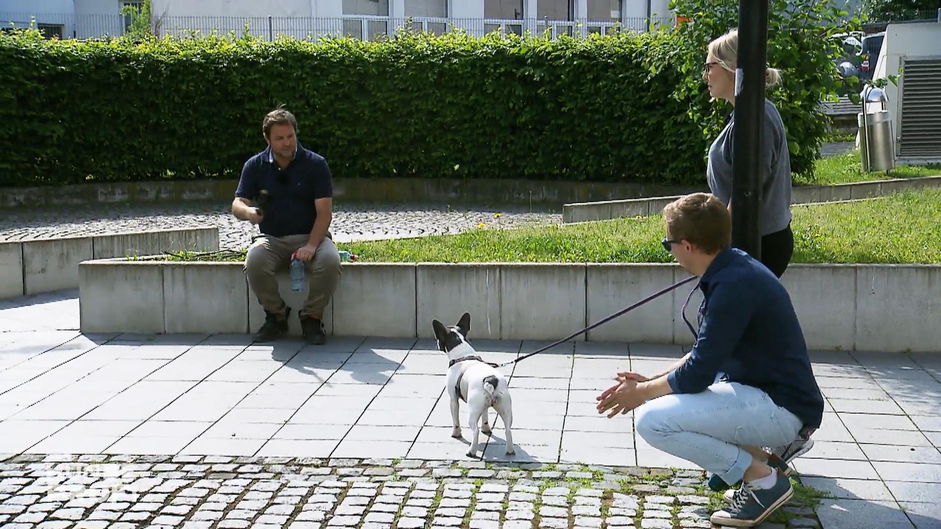 Übungseinheiten in der Innenstadt