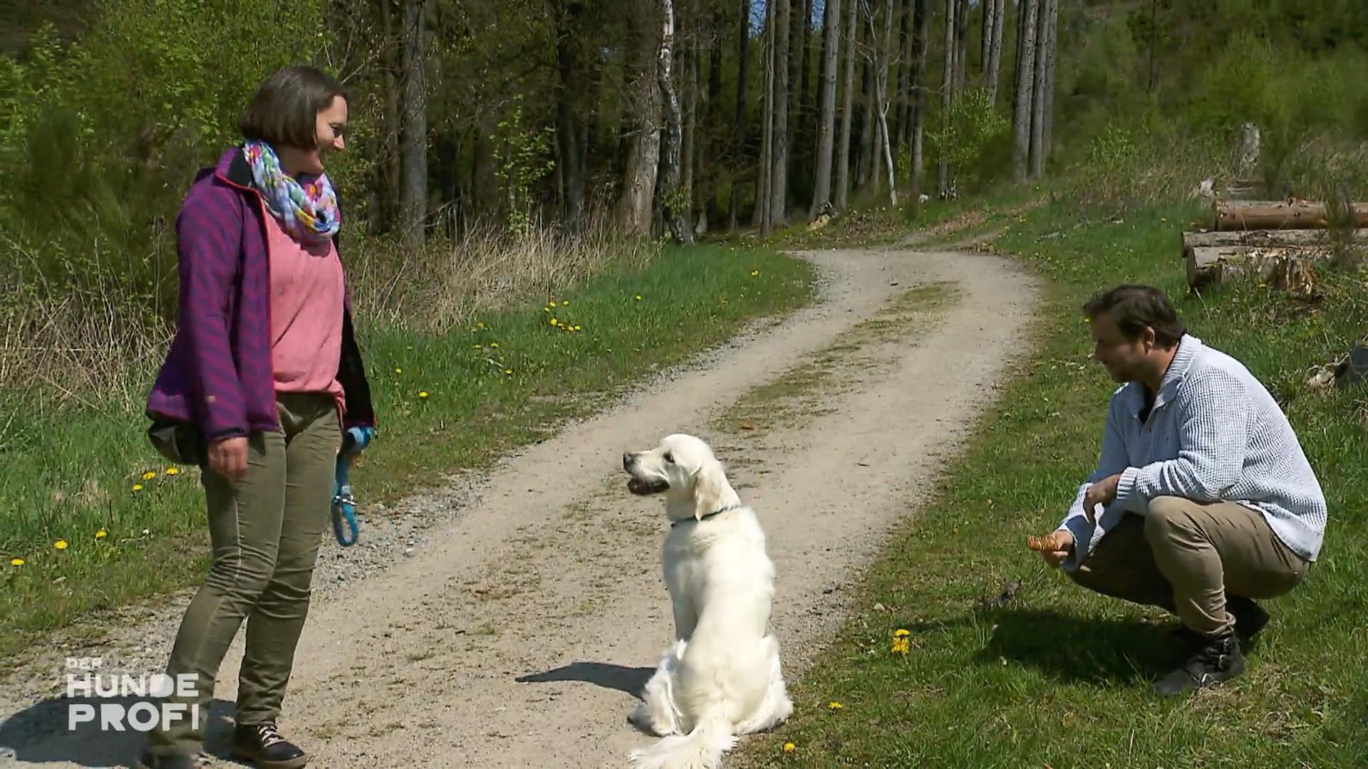 Frauchen verbietet Capper beim Training zu essen