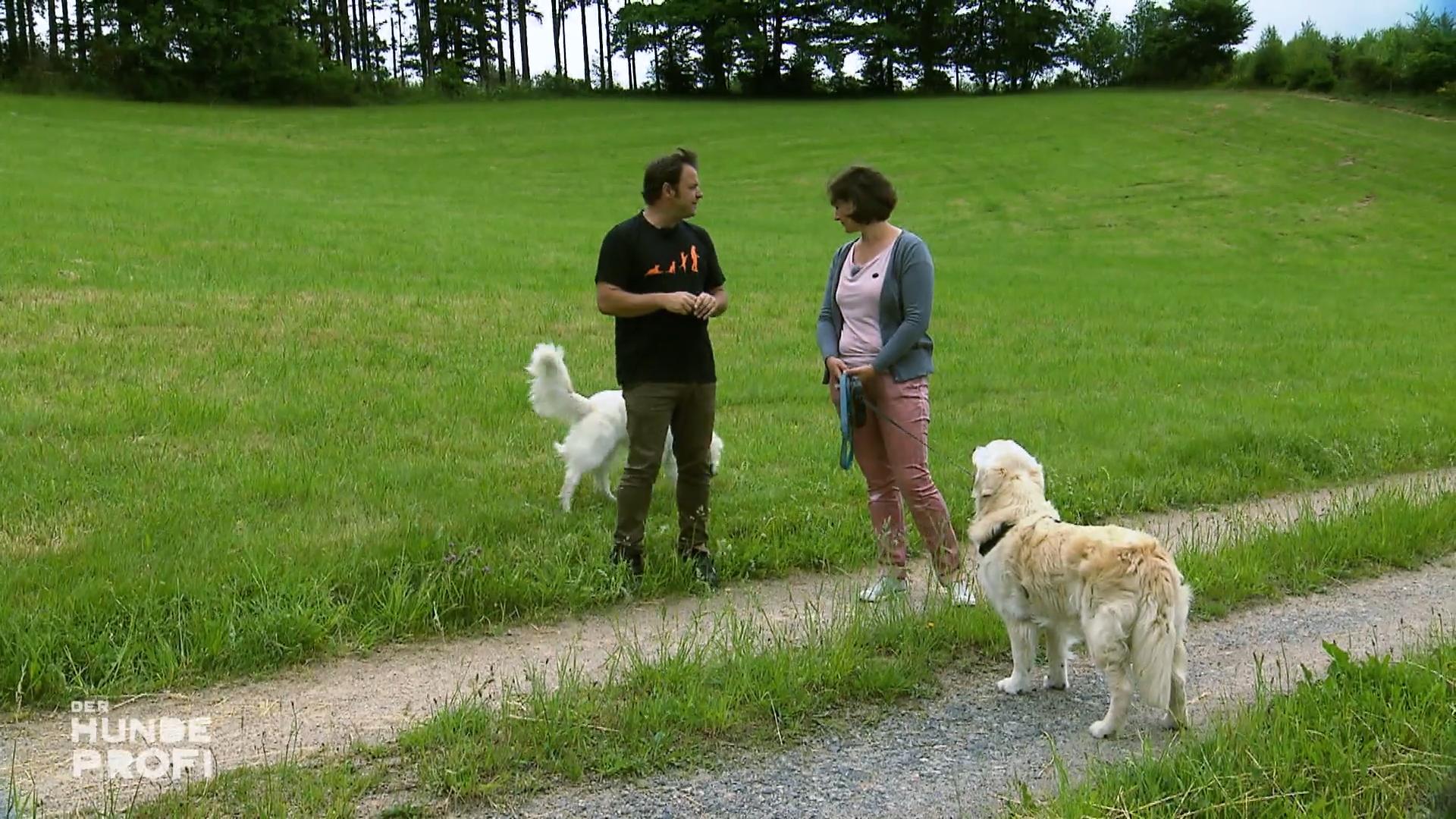 Frisst Capper noch immer Gras?