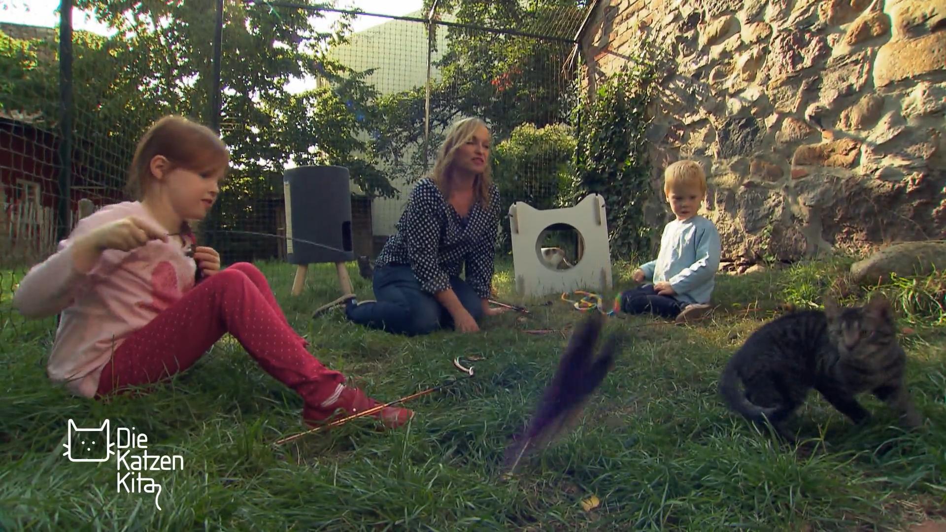Die Katzen lernen heute Kinder kennen