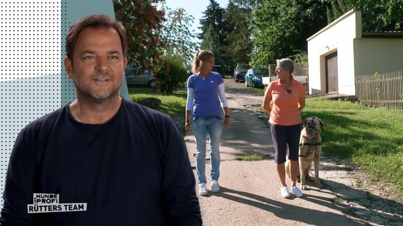 Seit Franzis letztem Besuch ist viel passiert