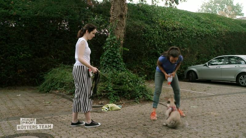 Der Zwischenstand nach 6 Wochen sieht mau aus