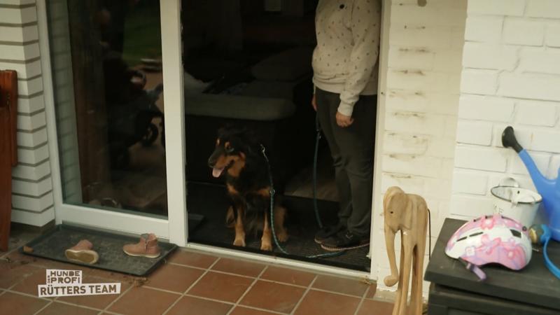 Marc Lindhorst ist stolz auf Frauchen und Herrchen