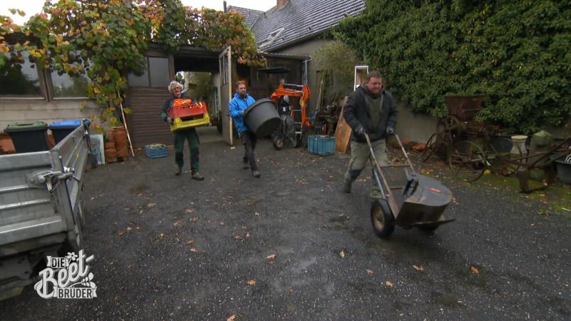 Eine Herausforderung für die Beet-Brüder