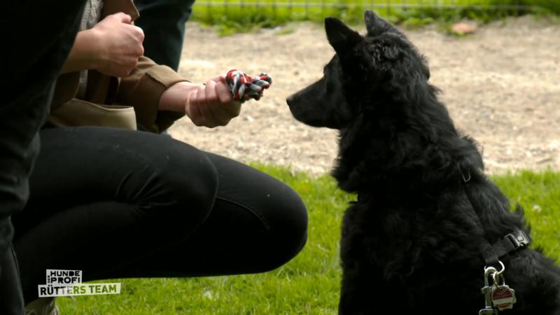 Novas Training geht in die nächste Runde