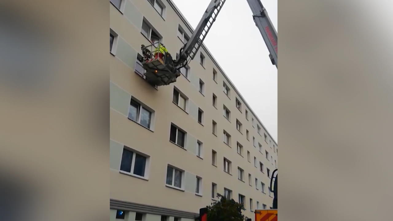 Sänger Buddy sorgt für krasse Rettungsaktion