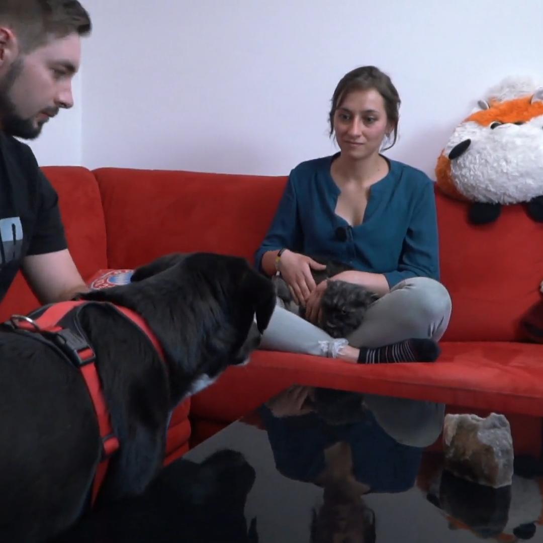 Hier passen Hund und Katzen nicht zusammen