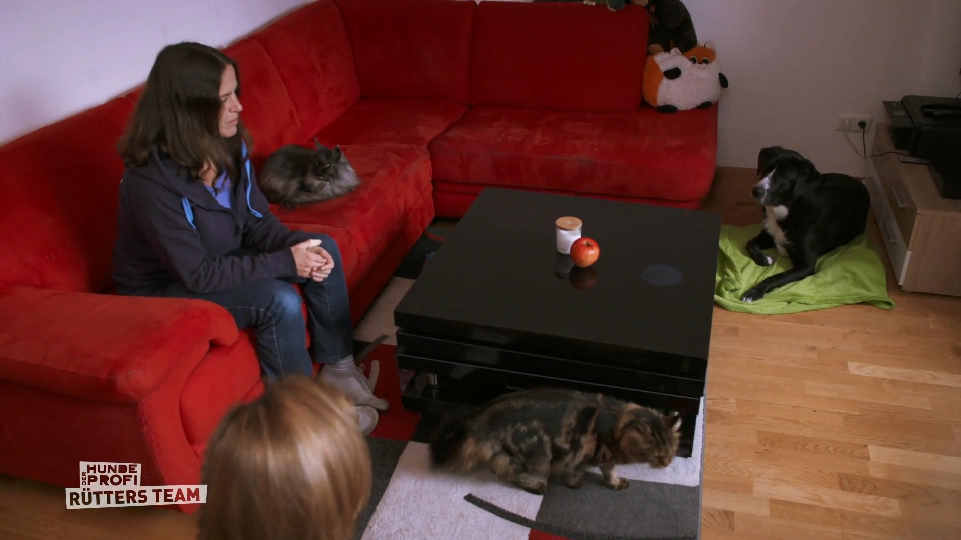 Endlich Frieden im Wohnzimmer