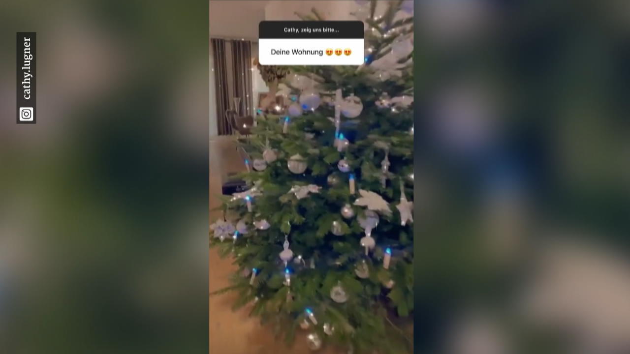 Cathy Lugner ganz privat: So sieht es bei ihr daheim aus