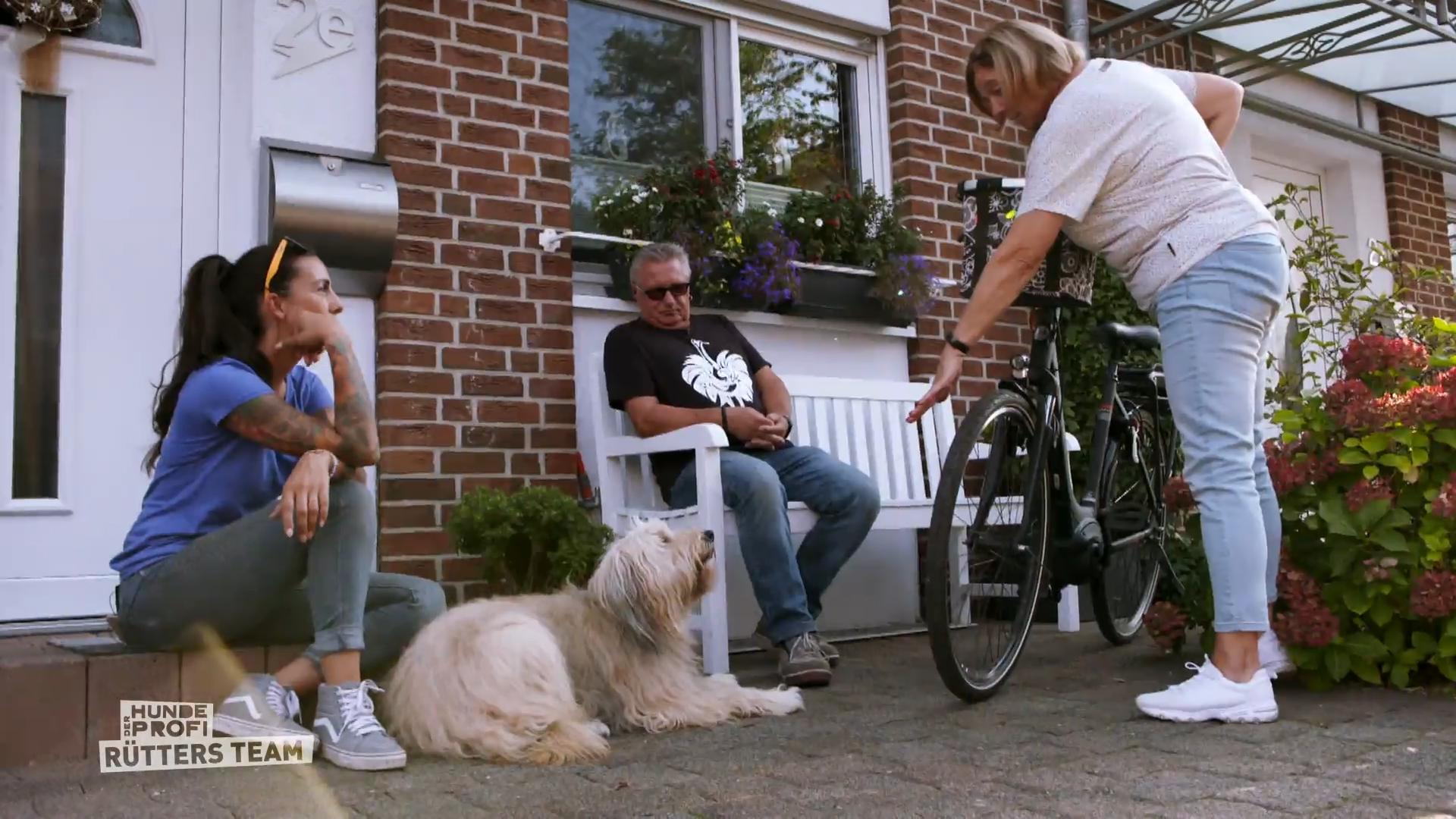 Ivy ist sonst "Dauerbeschäftigung" gewöhnt