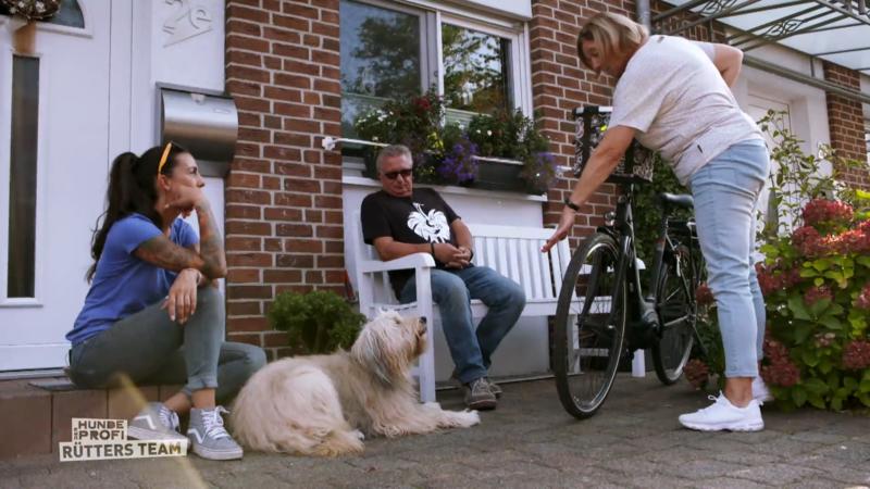Ivy ist sonst "Dauerbeschäftigung" gewöhnt