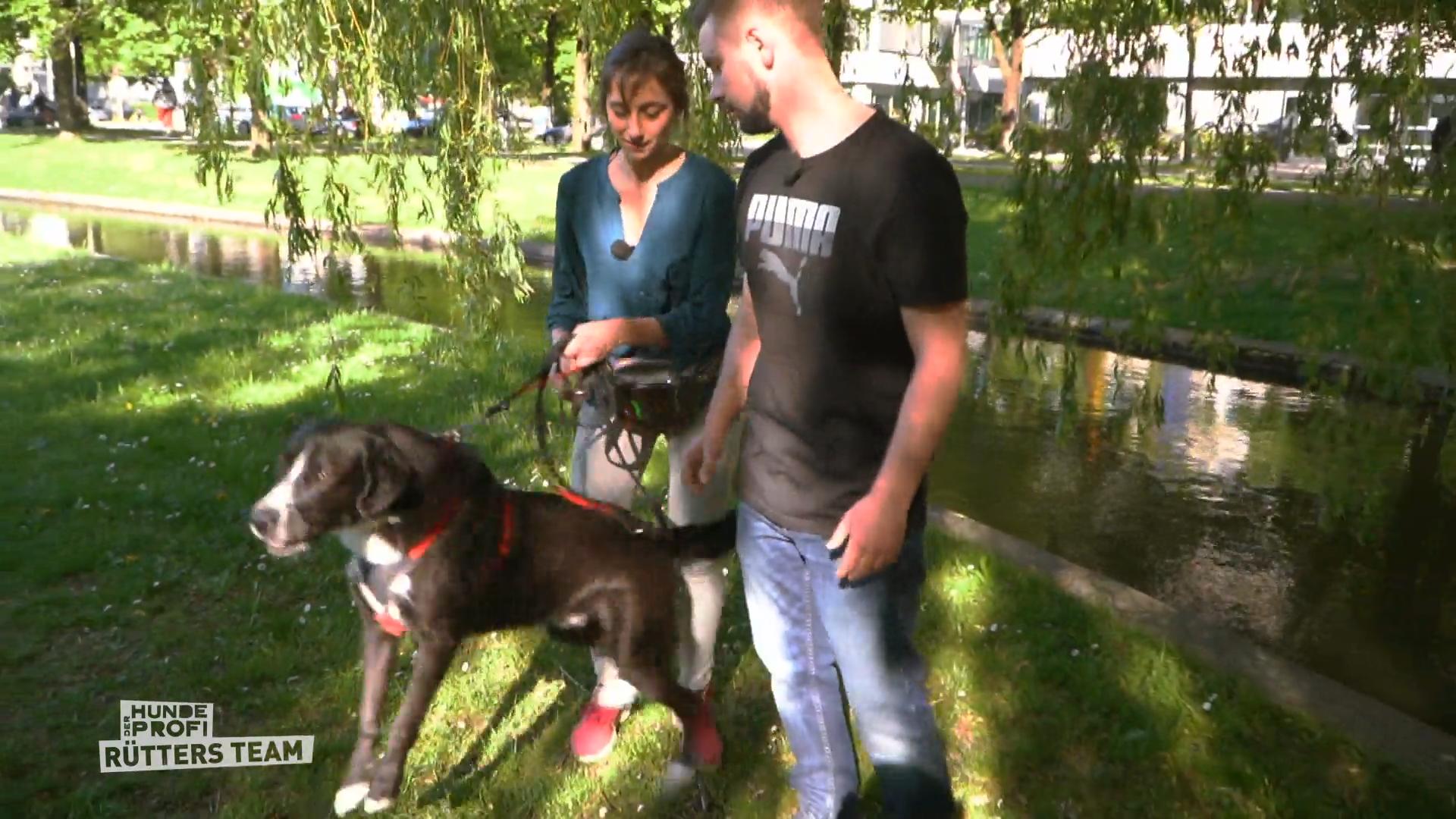 Theo hat ein Problem mit Artgenossen und Katzen