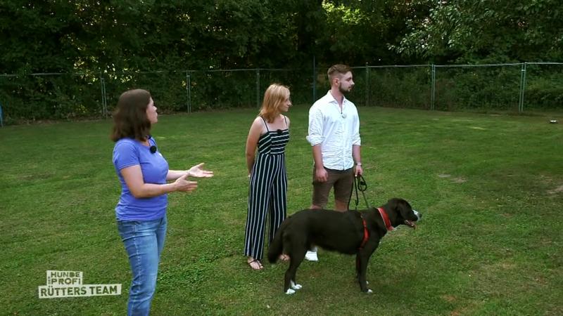 Theo trifft auf Hundetrainerin Steffi