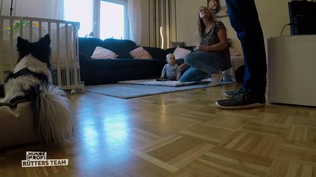 Nicht nur Shorty ist jetzt entspannter