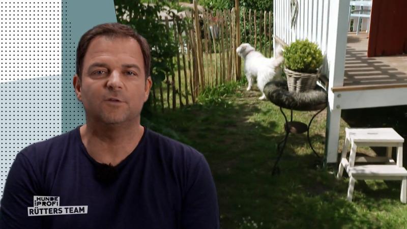 Zu Hause dreht Tilda durch - bei Fremden
