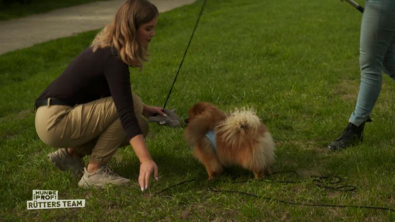 Ist Bailey vielleicht nur unterfordert?