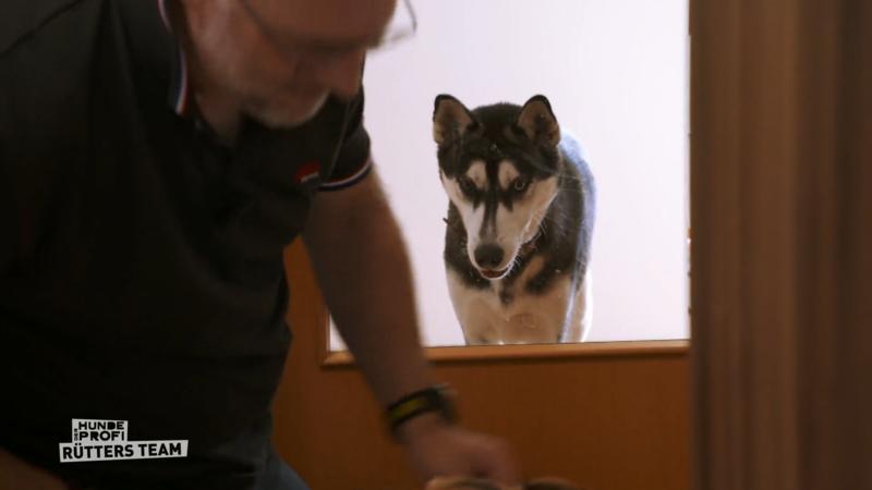 Luna (2) geht plötzlich auf Kimba (9) los