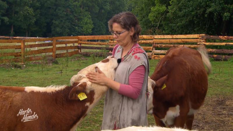 Andrea braucht Hilfe auf ihrem Tierschutzhof!