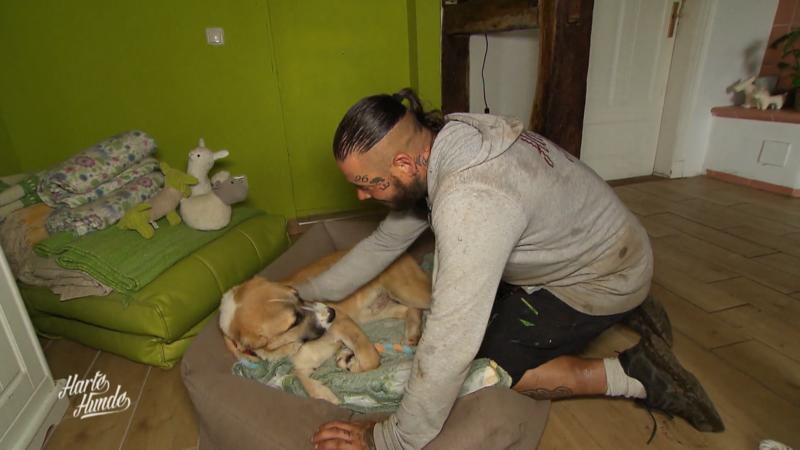 Welpe Flo muss unbedingt in die Tierklinik!