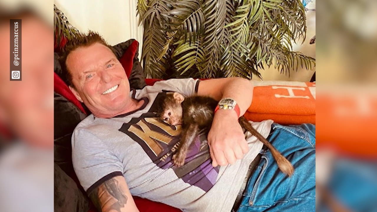 Prinz Marcus hat einen Affen
