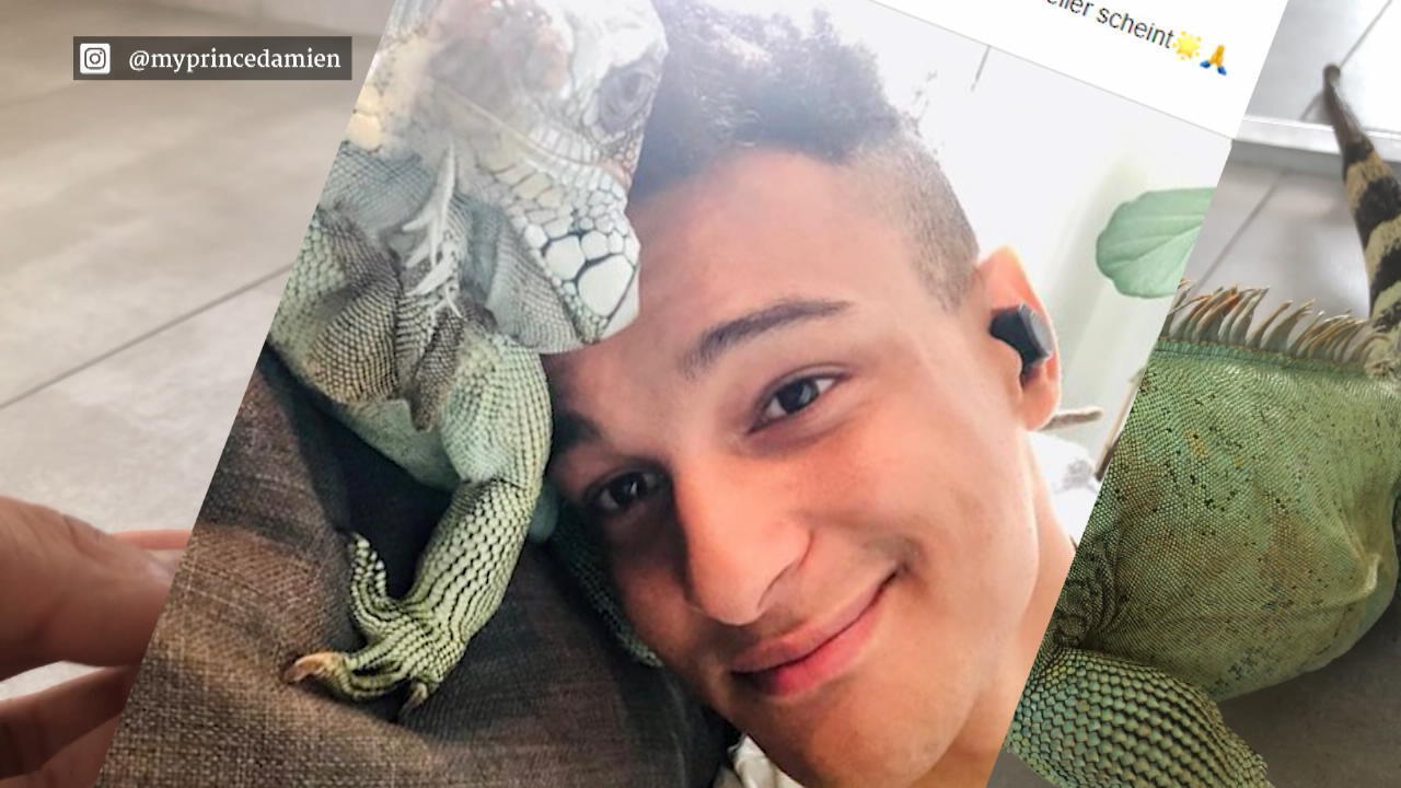 Prince Damien hat seinen geliebten Leguan verloren