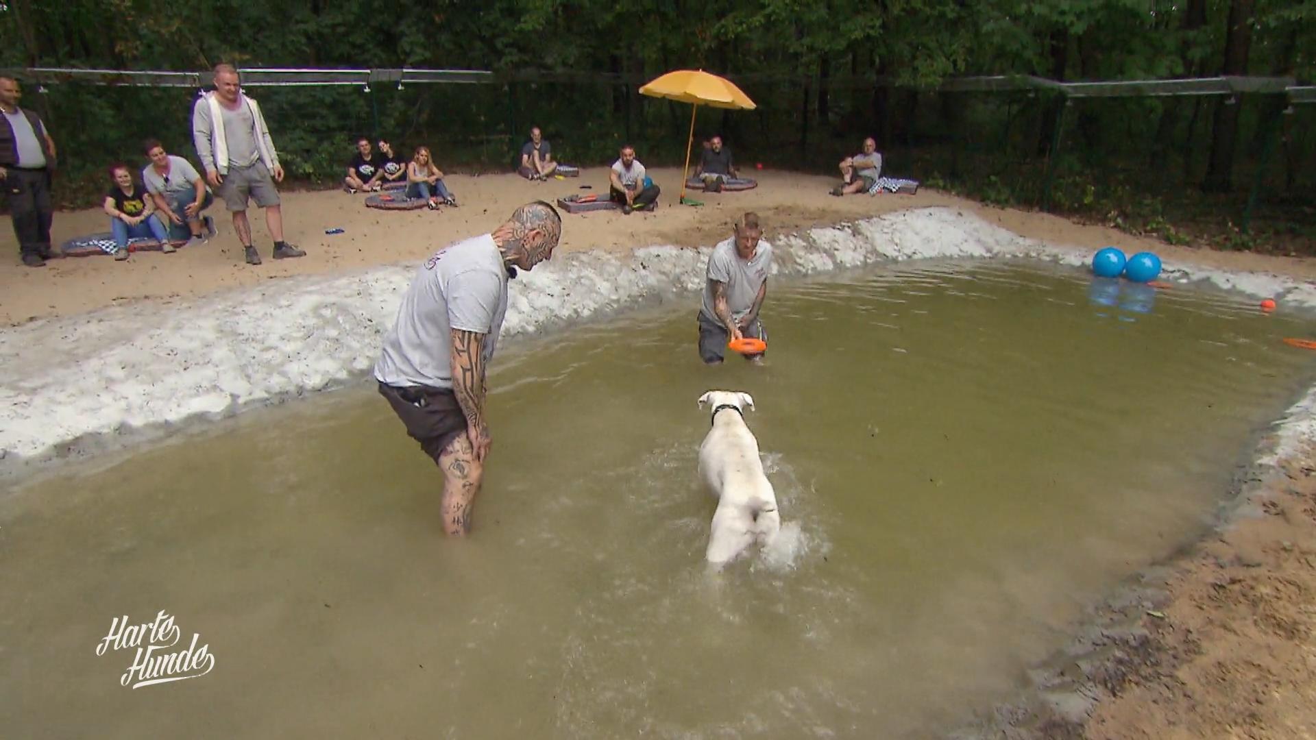 Der Hunde-Beachclub ist eröffnet