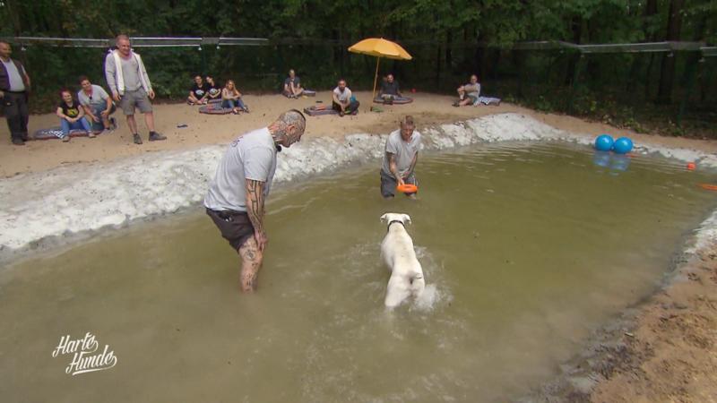 Der Hunde-Beachclub ist eröffnet