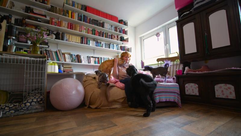 Lisa-Maries Familie beinhaltet 5 Hunde und 5 Katzen!