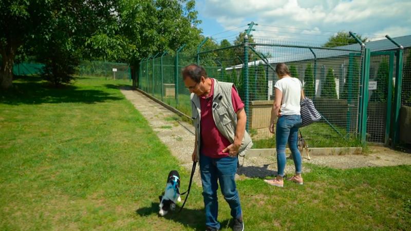 Toni und Rose wollen einen Welpen aus dem Tierheim