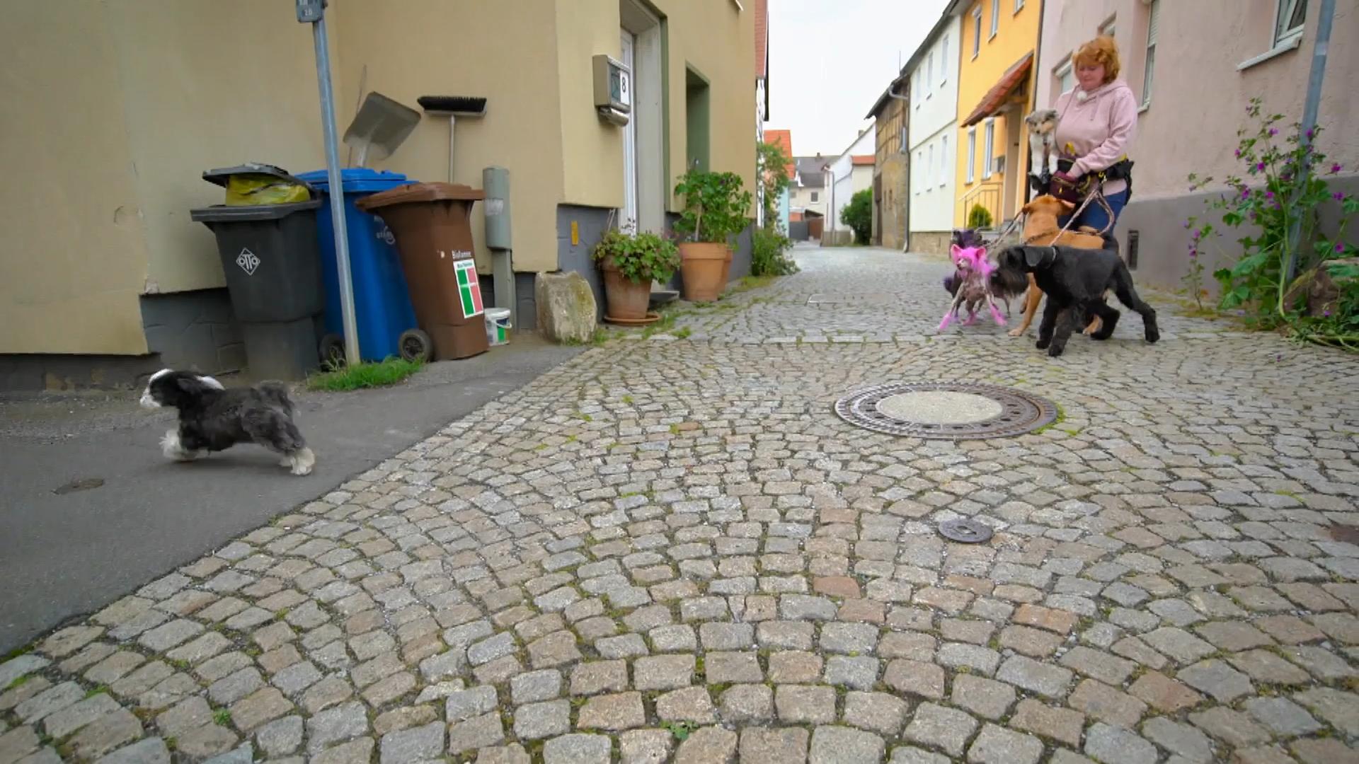 Lisa-Marie gerät in eine brisante Situation