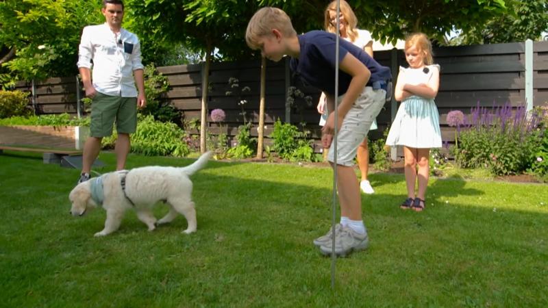 Balu hat keine Lust zu trainieren